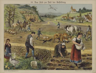 Farming
