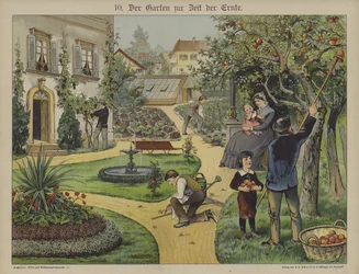 Garden in Town