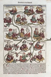 Genealogical Tree of Laban, from 