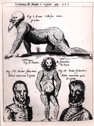 Hairy man and Wild man, illustration from Physica Curiosa by Gaspar Schott