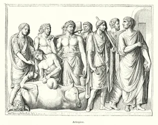 Haruspex, ancient Roman priest who examined the entrails of sacrificed animals to predict the future