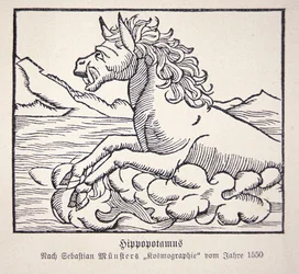 Hippopotamus from Sebastien Münster
