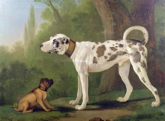 Hound and Terrier