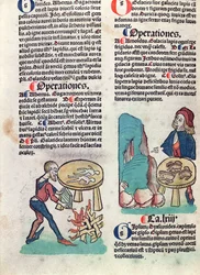 Illustrated page from Hortus Sanitatis, 1491