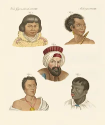 Illustration of the Main Human Races