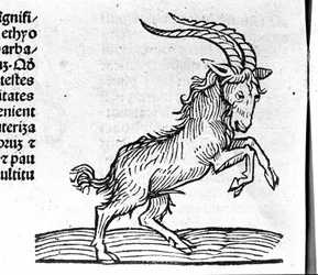 Le Capricorn - in Treatise by Johannes Angeli De Magnisconnectionibue Annorum Revolutionibus ac Eorum Perfectionibus. Augsburg, Erhard Ratdolt
