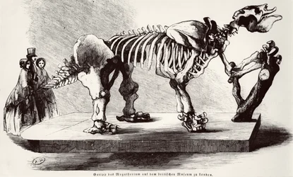 Megatherium Skeleton at the British Museum