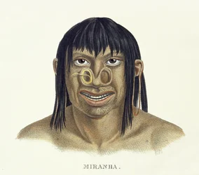 Native Man of the Miranha Tribe, with Nose Decoration, from Atlas of a Journey in Brazil by Johann Baptist von Spix and Karl Friedrich Philipp Martius, published c.1835-50