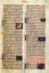 Page from De Natura Rerum on birds