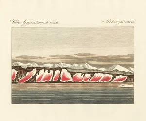 Red-coloured snow