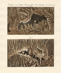 Strange Caves