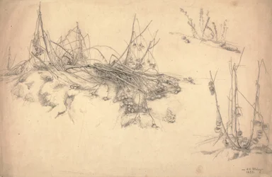Study of a Thistle
