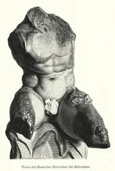 The Belvedere Torso, Roman sculpture traditionally believed to be a representation of Hercules