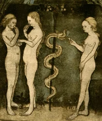 The Fall in Two Representations