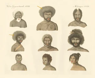 The Papuans
