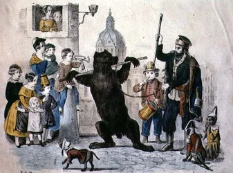 The Performing Bear