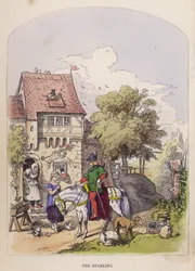 The Starling