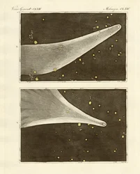 The Great Comet of the Year 1811