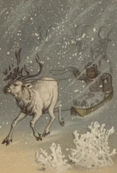 The Reindeer