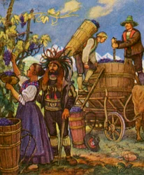 Tyrolean Grape Harvest