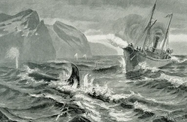 Using a Harpoon Gun from a Fast Steamboat
