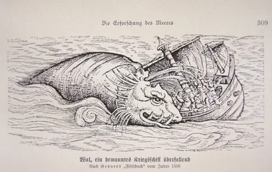 Whale attacking a ship