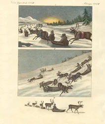 Winter trips in Lapland