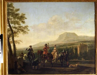 Falconry