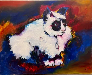 Bungee the Cat