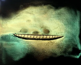 Voyage 206