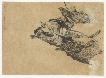 Head of an Iguana