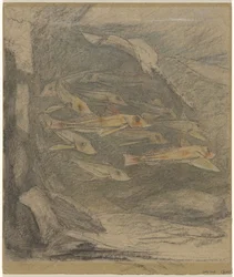 School of Poneys and a Ray