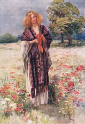 The Fair Serena, Stories from the Faerie Queen