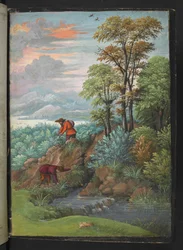 Two men looking for plants in a wooded area, from 