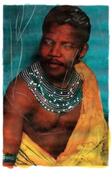 Portrait of Nelson Mandela, 2011