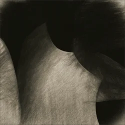 Flowing Sepia Curves