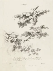Study of Three Branches with Leaves (series title: 1st Landscape Book)