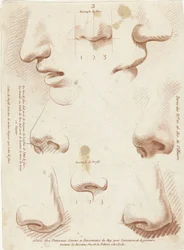 Study Sheet with Noses and Mouths