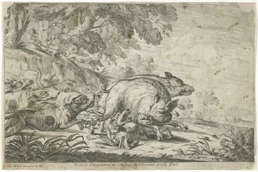 Wild Boar Hunt