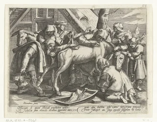 Washing the Donkey