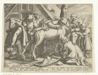 Washing the Donkey