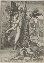 Venus and the Rose