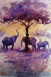 African Elephants Purple Sunset