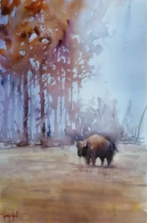 Bison in Autumn Mist
