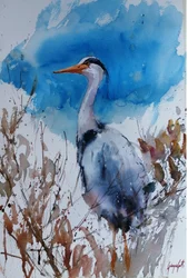 Blue Heron Watercolor