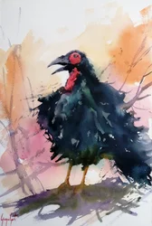 Calling Black Bird