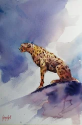 Cheetah on Rock
