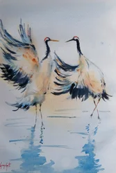 Dancing Cranes Water