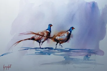Elegant Pheasant Walk