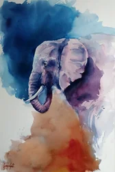 Elephant Abstract Colors